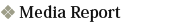 Media Report